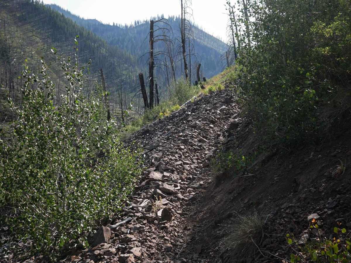 Deadwood Creek photo 5
