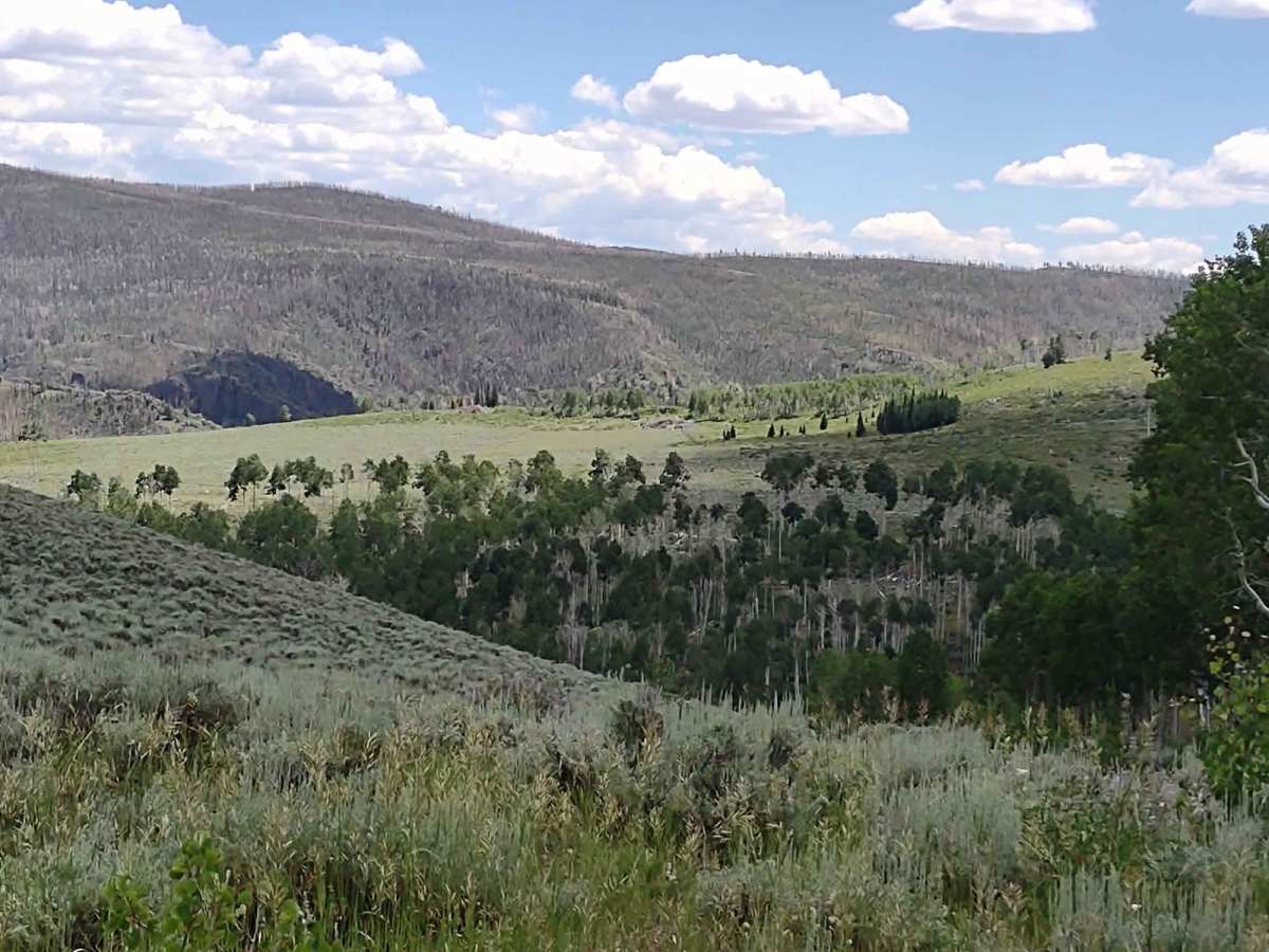 Papa Bear Spur Loop (FS 42453, 42449, 42450) trail photo