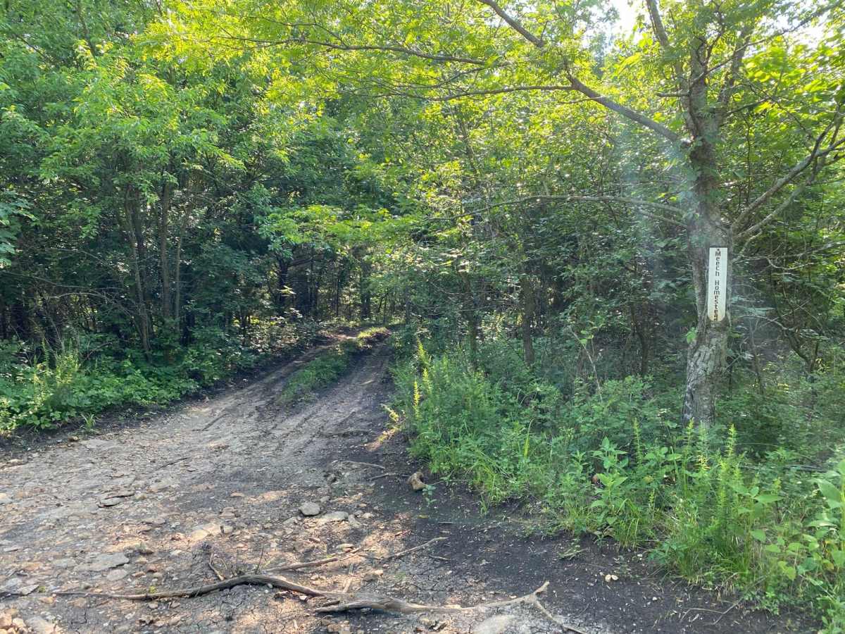 Meech Homestead trail photo