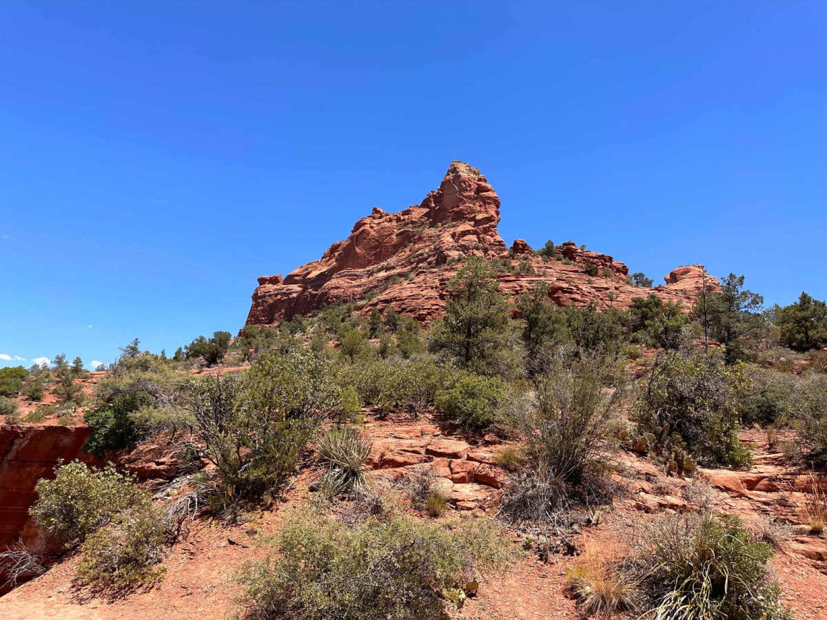 Tea Cup trail photo