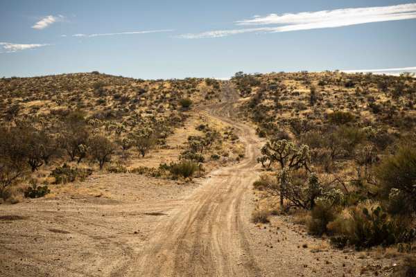 Lovetta Trail