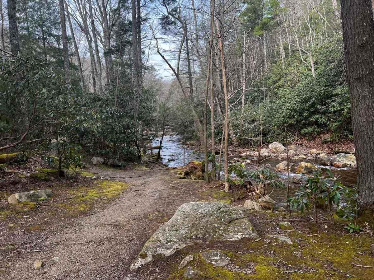 Horse Creek photo 3