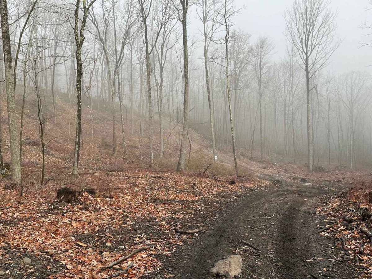 Darkwater 87 trail photo
