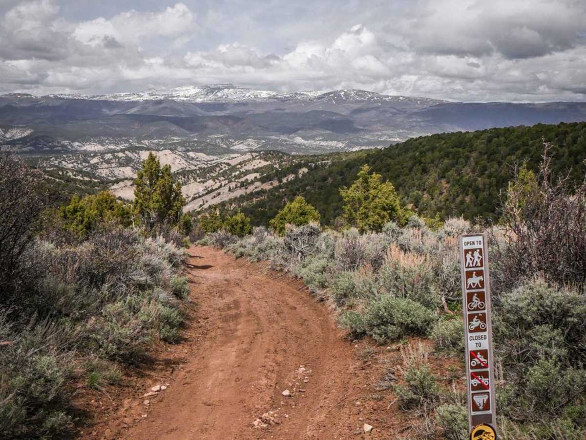 Tick Alley trail photo