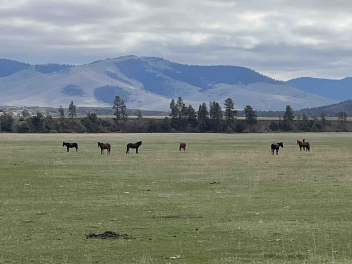 Sloan's Bridge to Old Ferry Basin Crossing photo 6