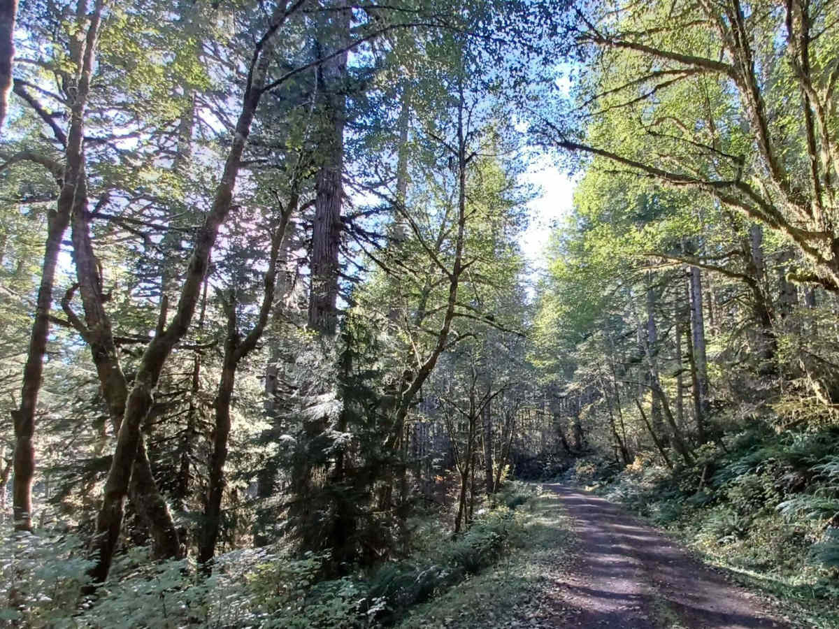 Square Top trail photo