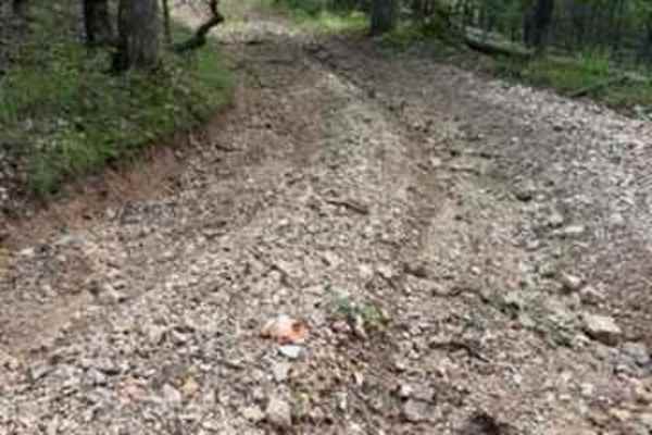 Whitley's Trail