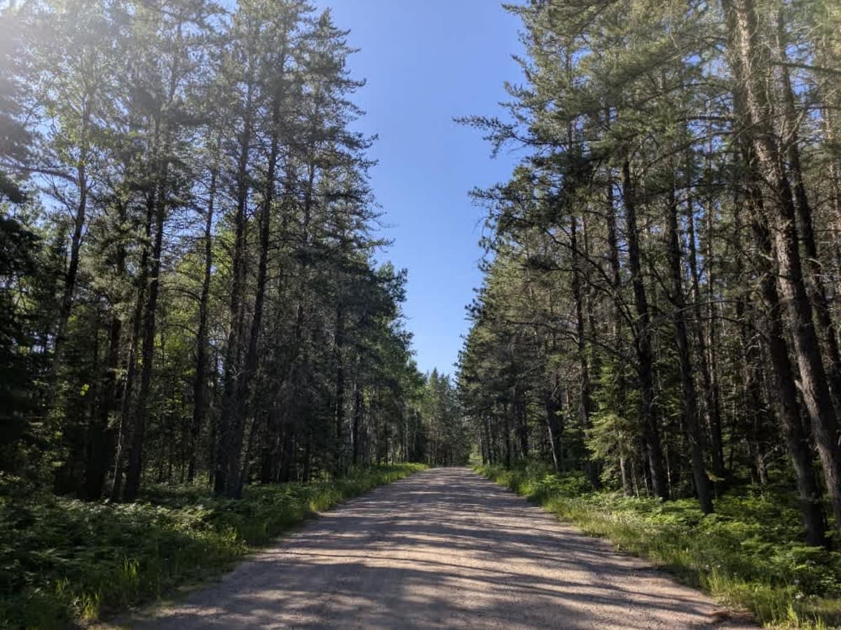 County Road 791 photo 4