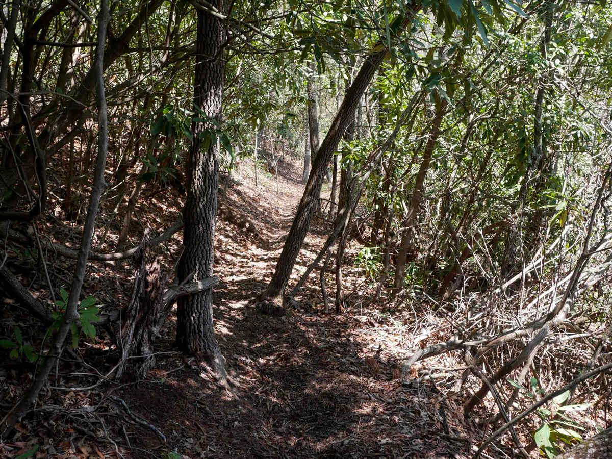 Buzz Kill Hill photo 3