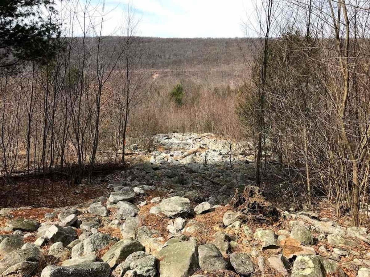 18 Black trail photo