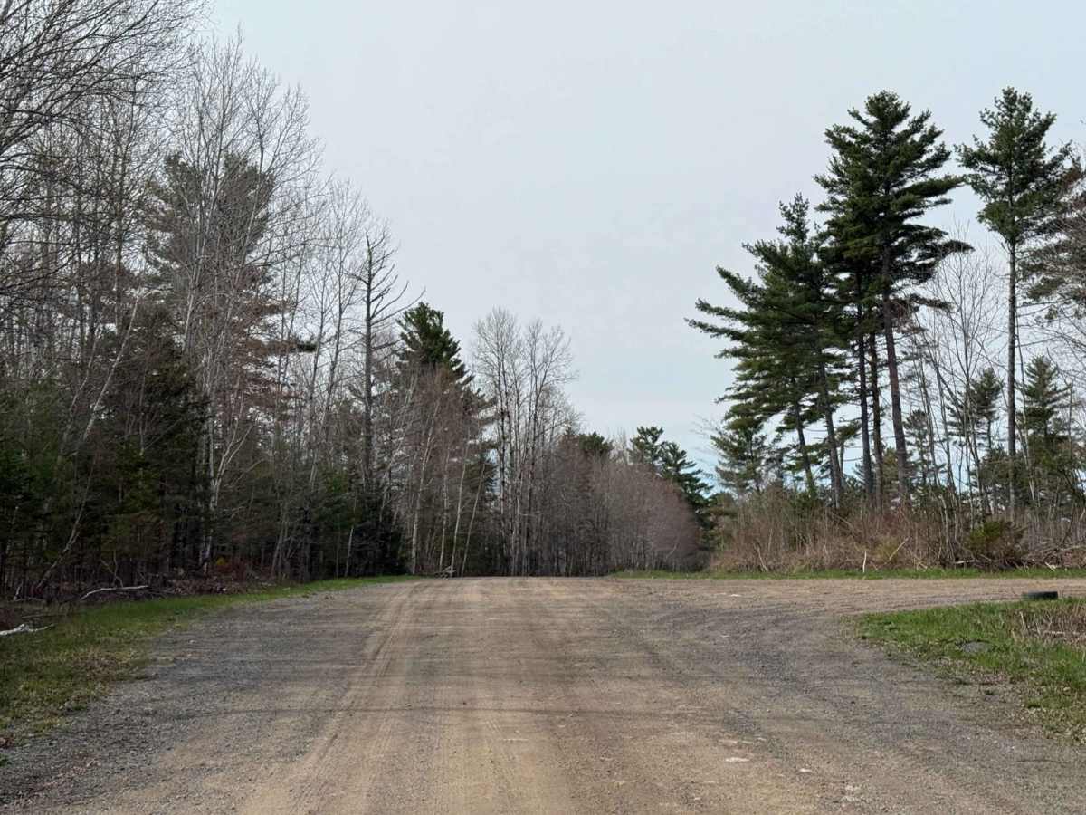 Mines Road photo 4
