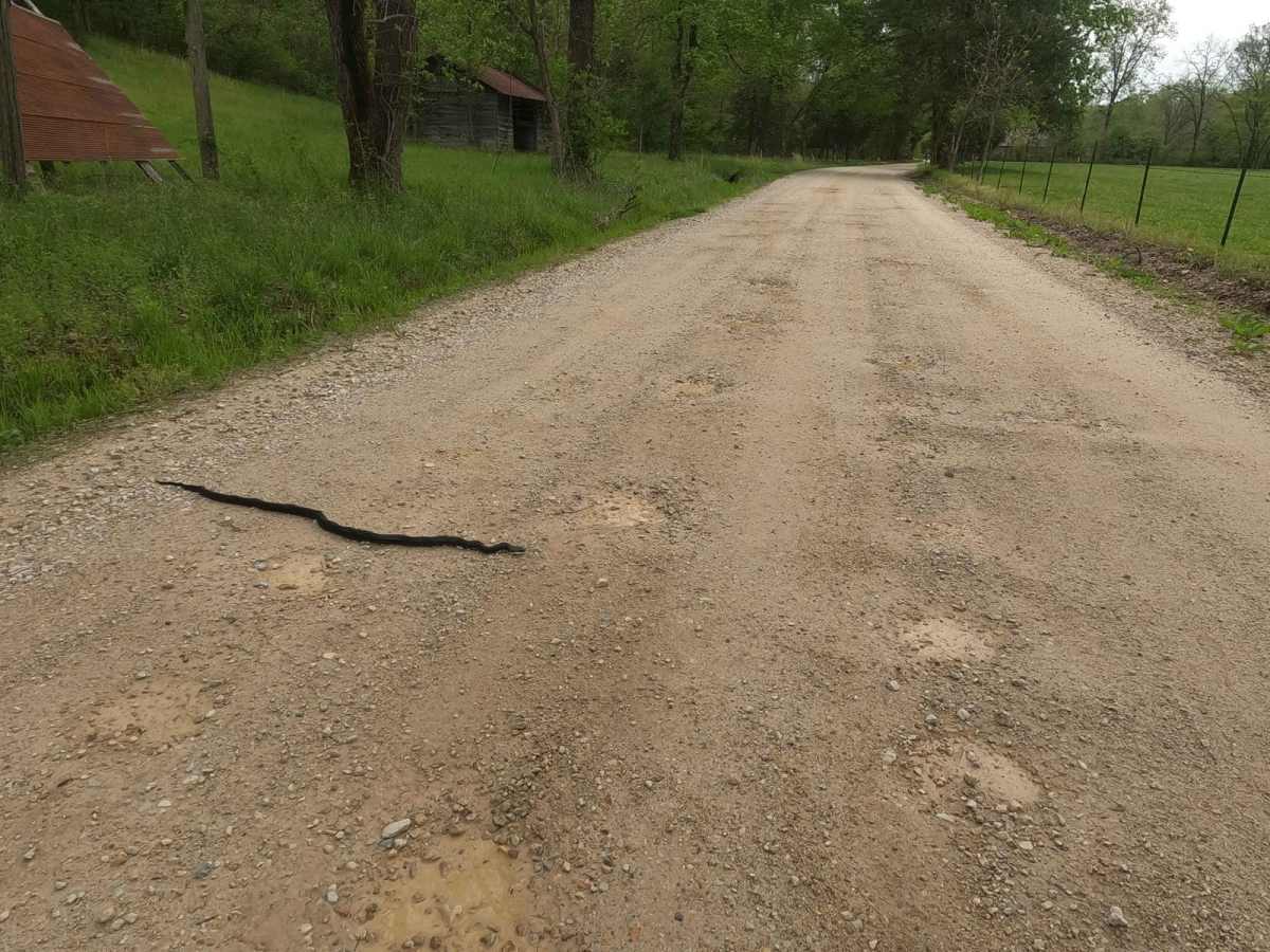Funk Branch Road photo 6