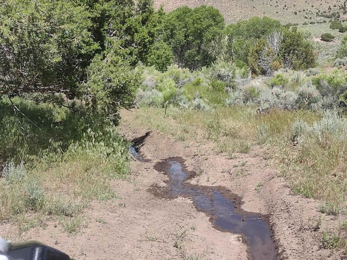 Manning Creek Canyon (FS# 42000) photo 5