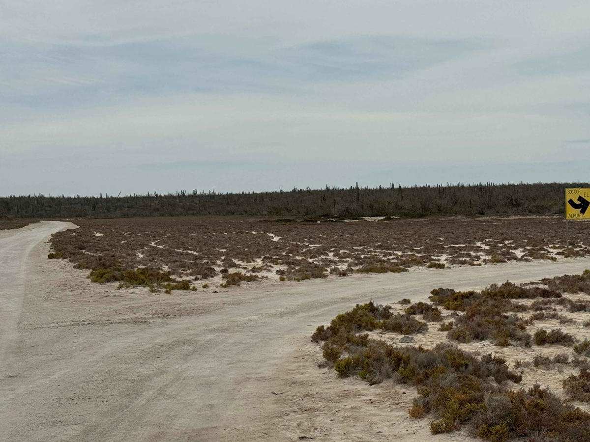 El Alhuate Loop trail photo