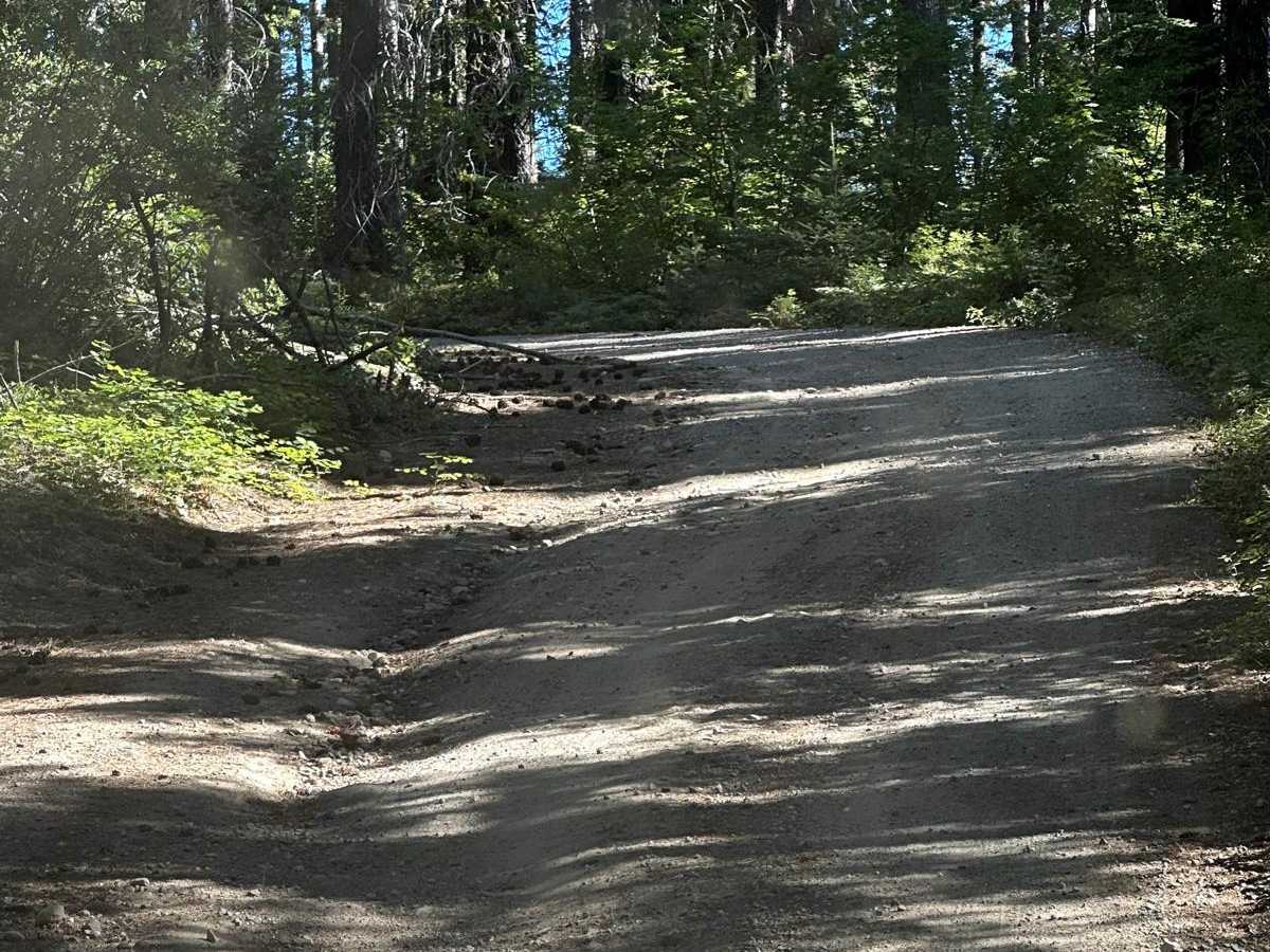 Round Mountain Trail photo 4