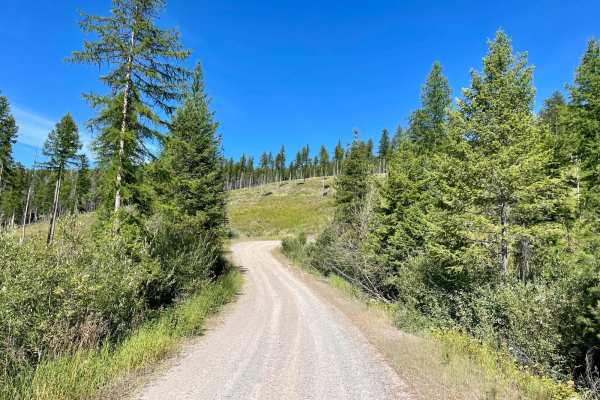 Wild Bill Creek