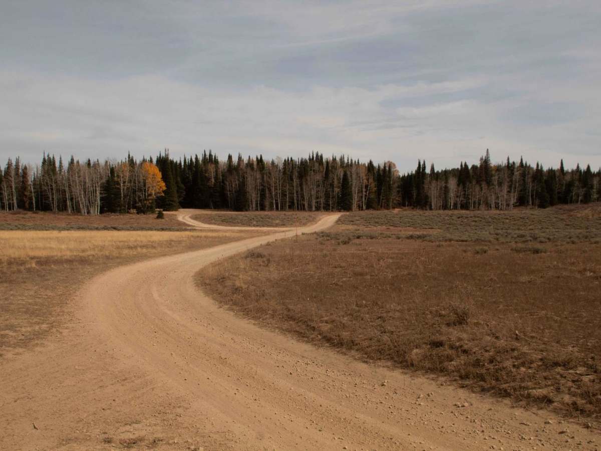 Curtis Creek Road (FR059) trail photo