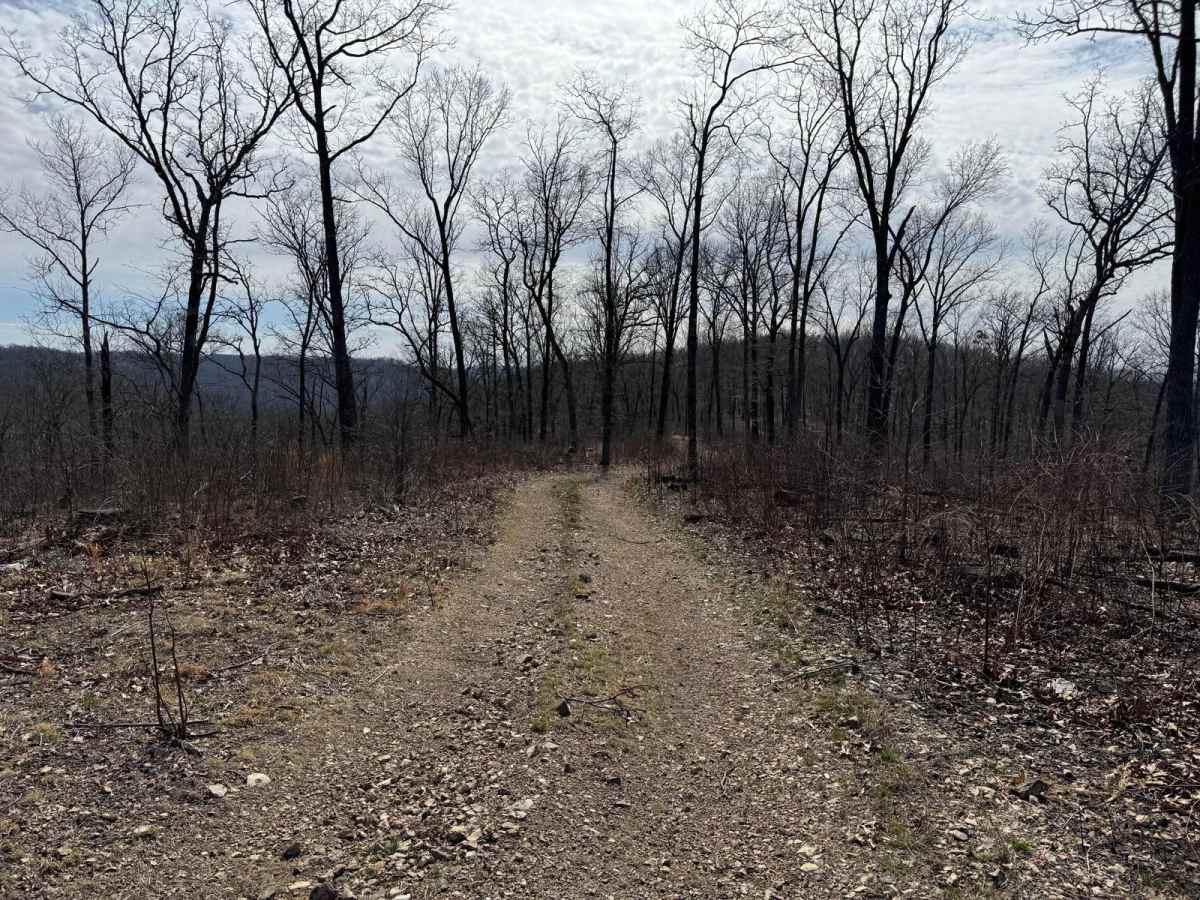 Prieskon Hollow - FSR 143 photo 5