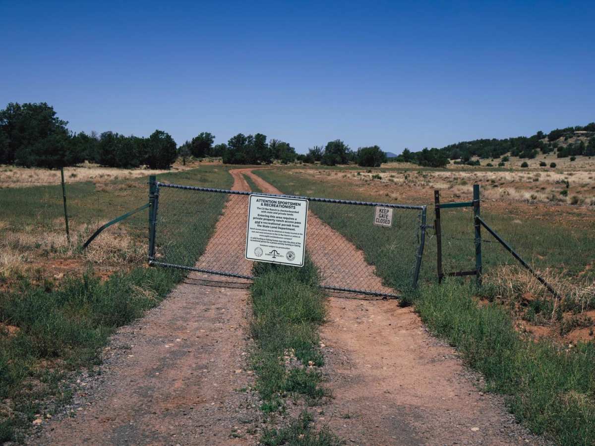 Wild Bill 7 photo 2