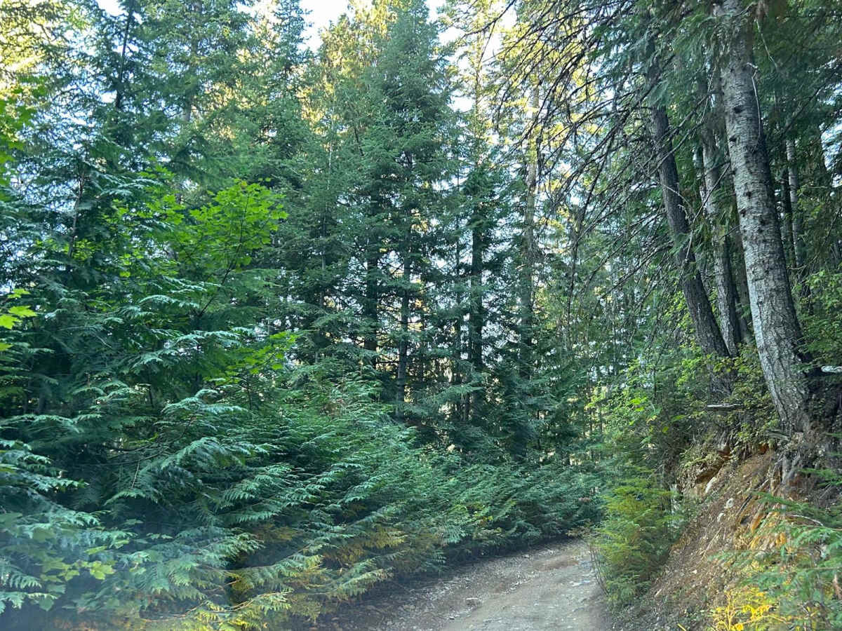 NSFDR 985 Slate Creek Bypass photo 3