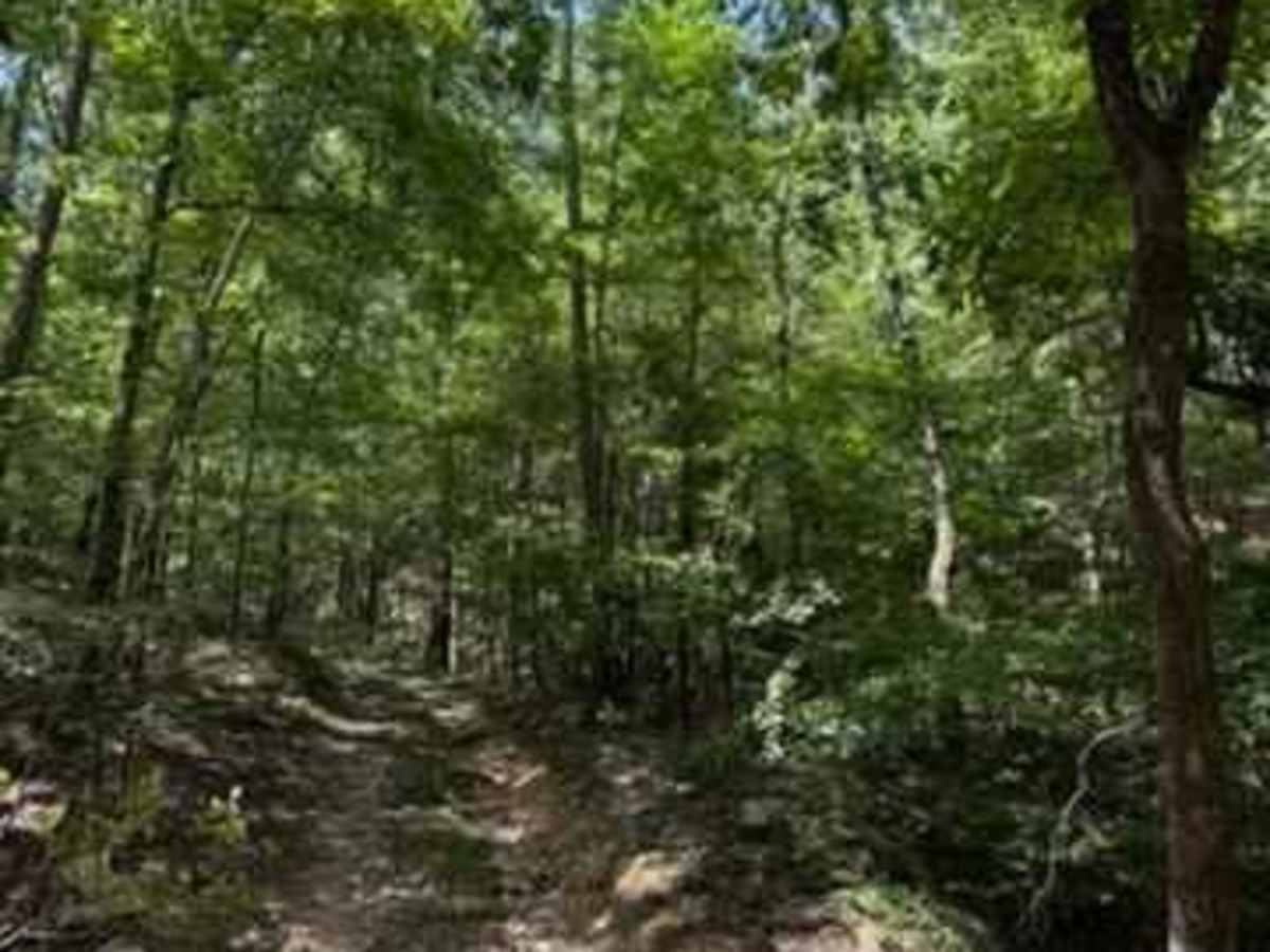 J20 John's & More trail photo