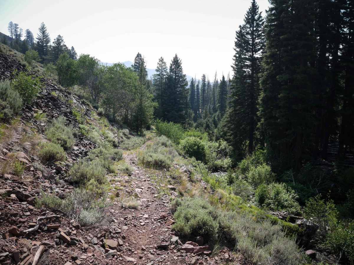 Eleven Mile - Martin Creek ATV photo 5