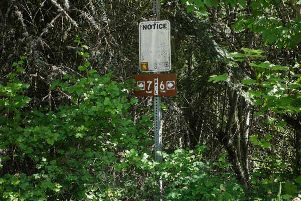 Canfield Mountain- Trail 6