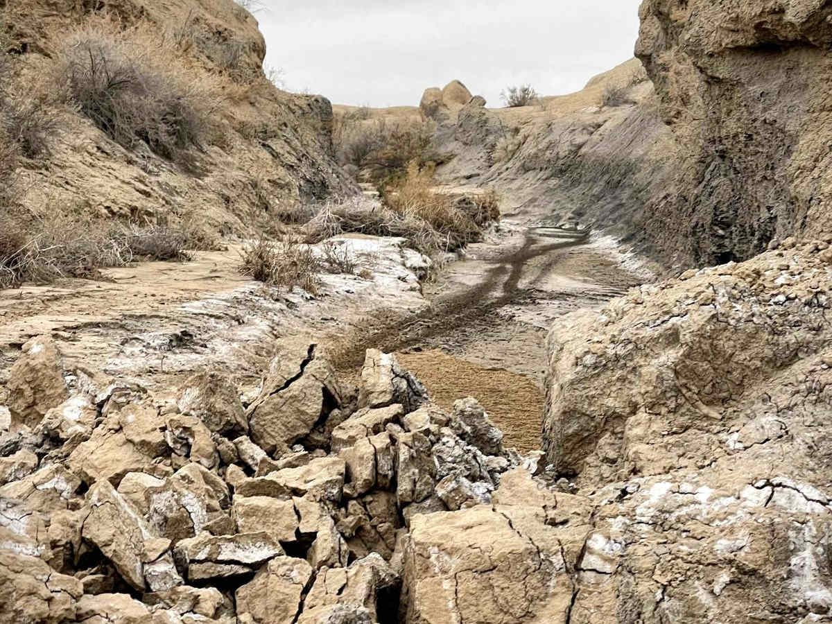 Canyon Wash - BLM 9188 photo 6