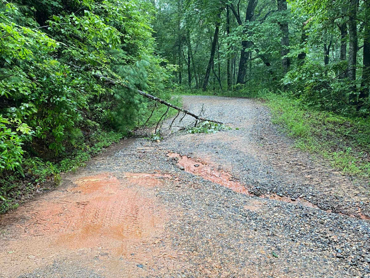 Jones Creek Road - FS 77A photo 5