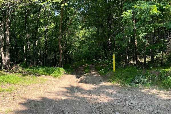 Trail 6