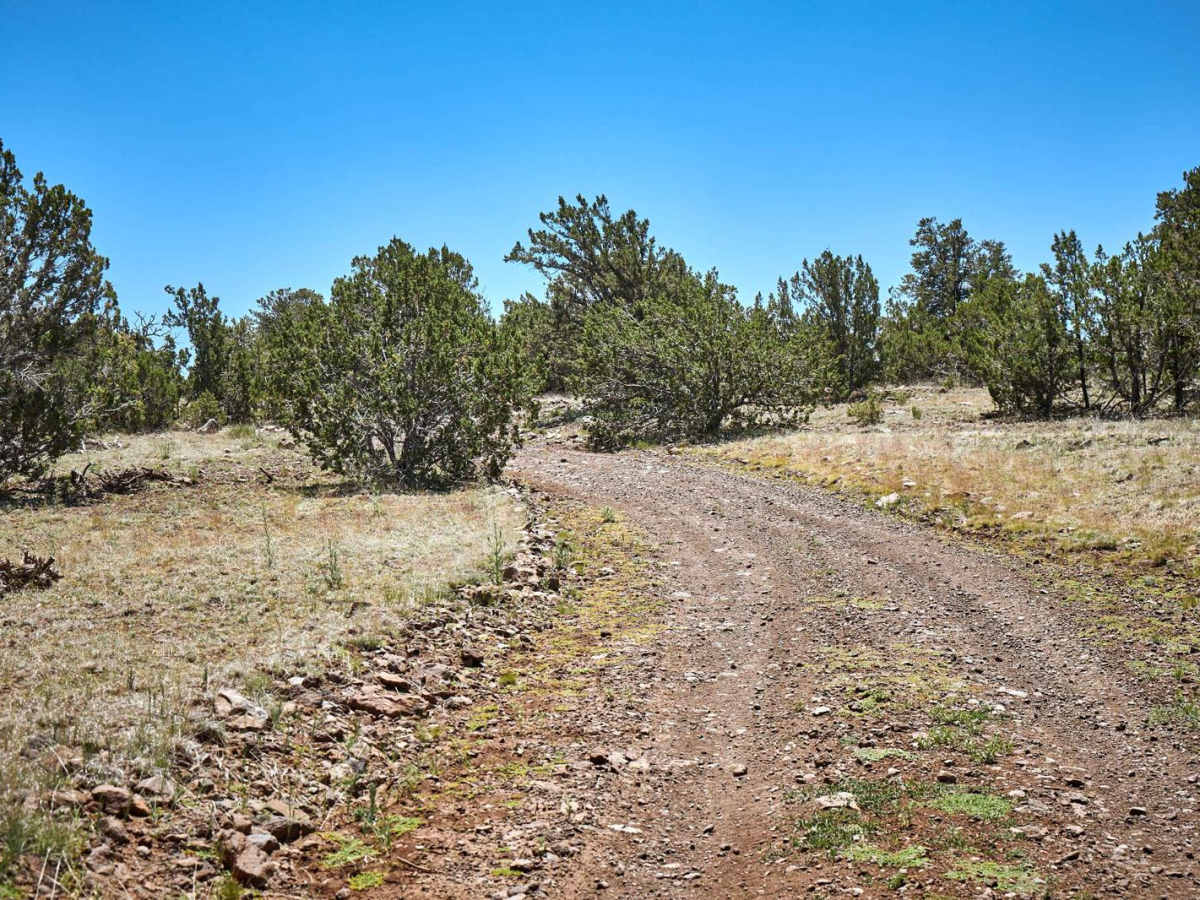 Old 84 Road photo 4