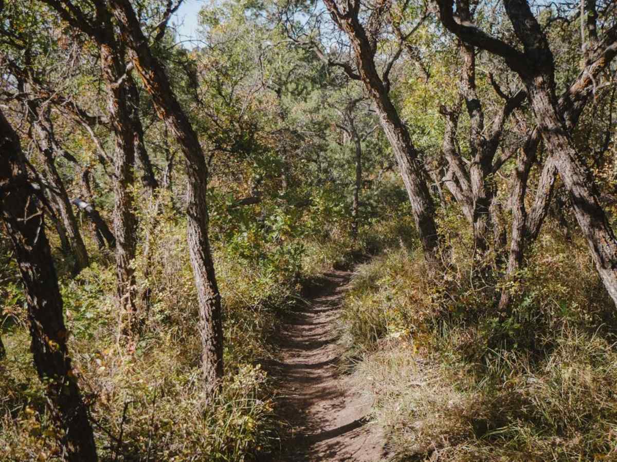 North Porcupine Trail photo 3