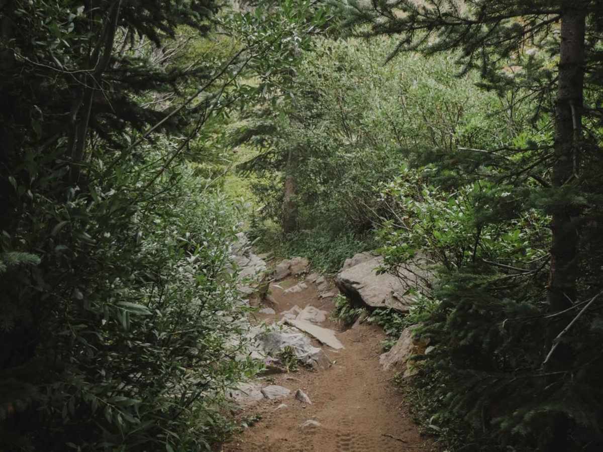 Greens Creek photo 5
