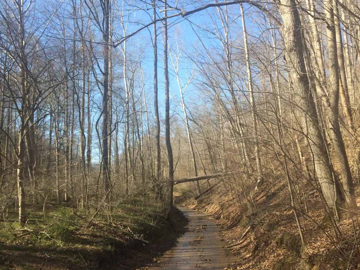 Waterfall trail photo