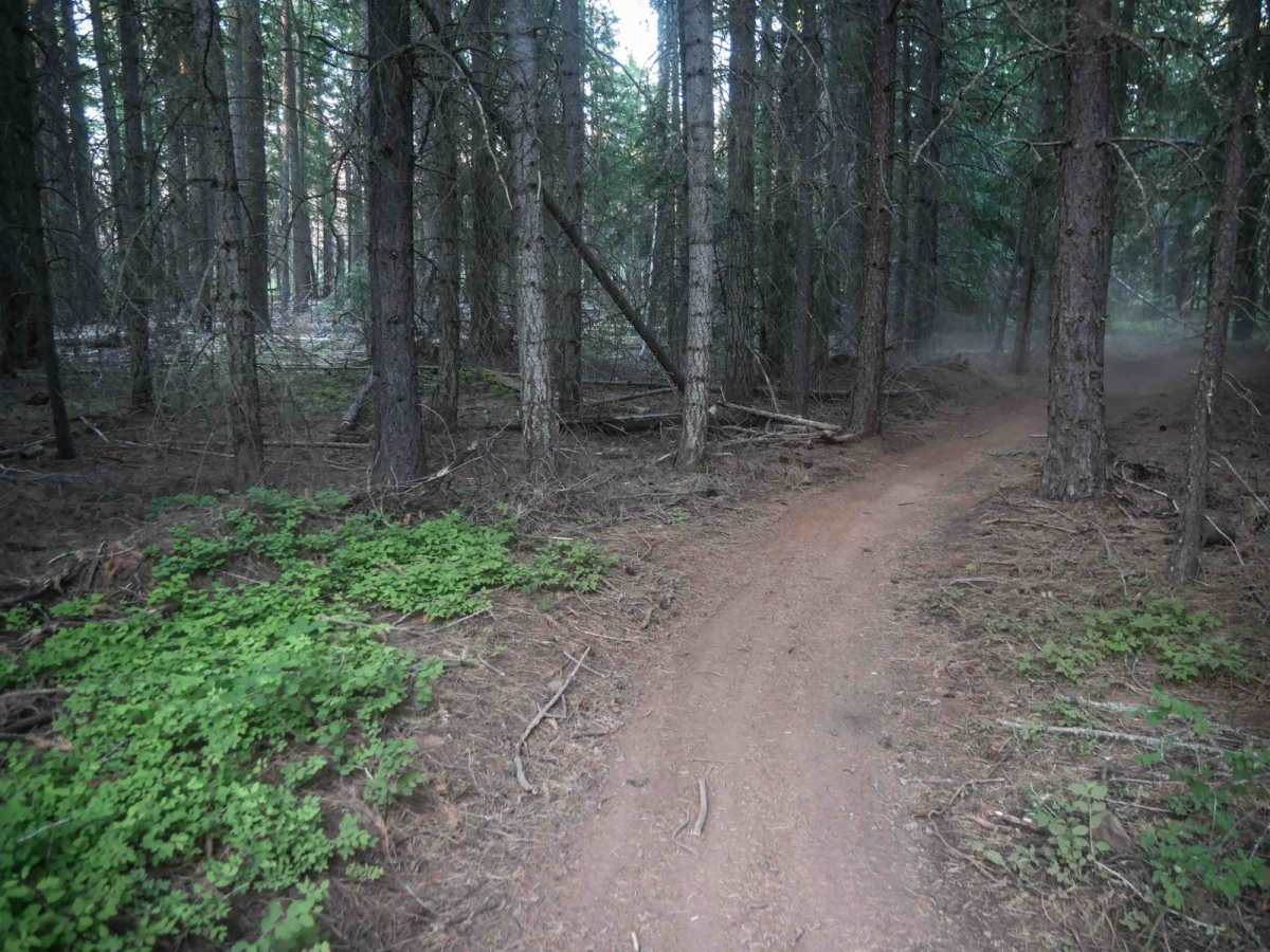 576E photo 3