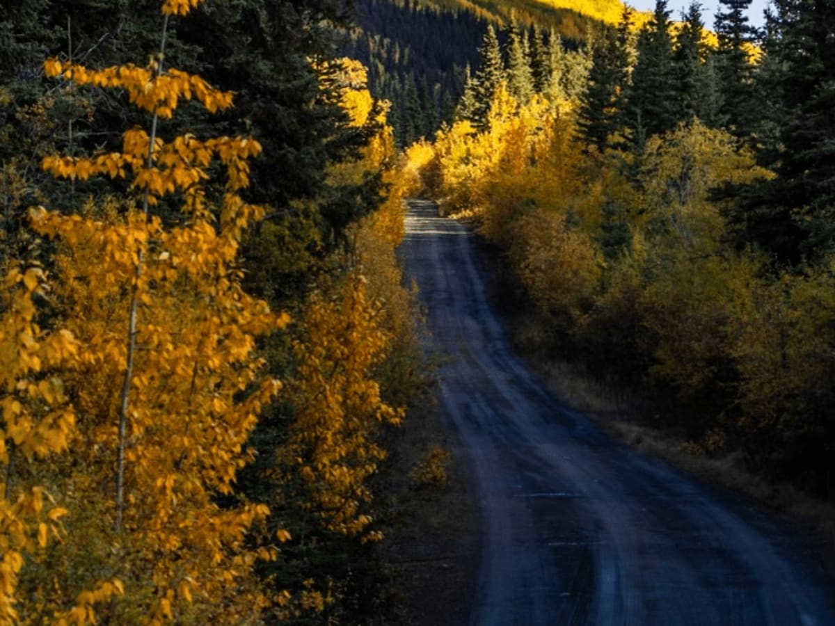 North Canol photo 3