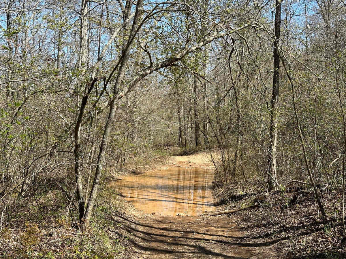 Eureka Springs Hollow 95472B photo 3