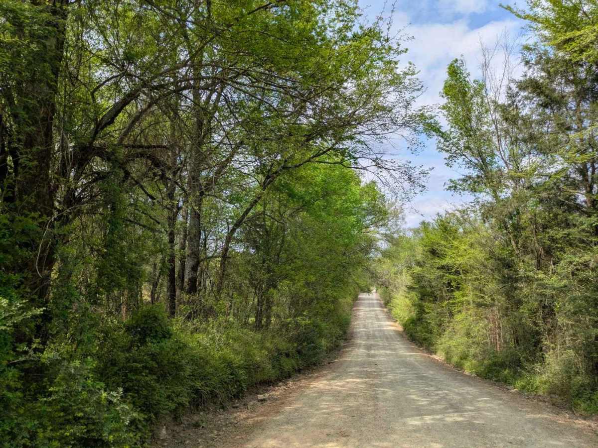 Clearwater Road photo 5