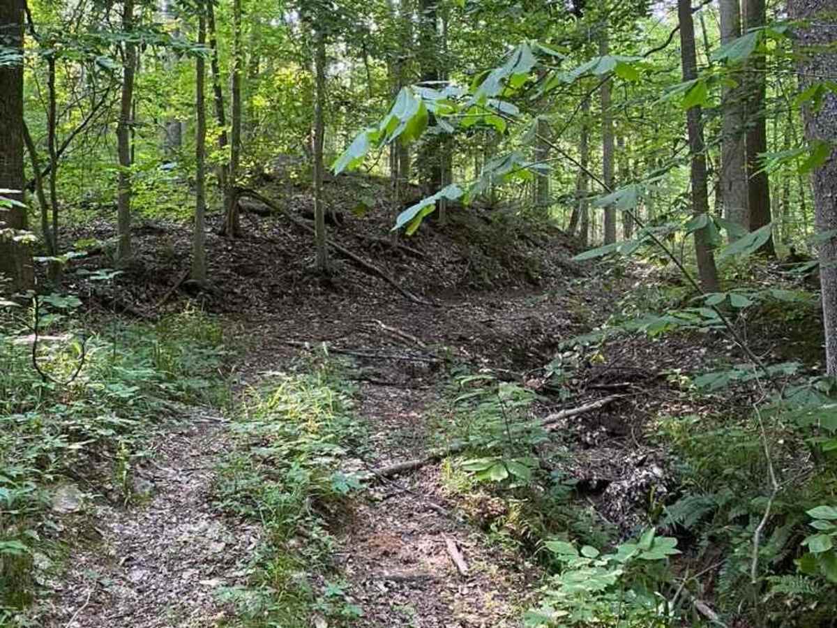 Diswood FSR 690 photo 6