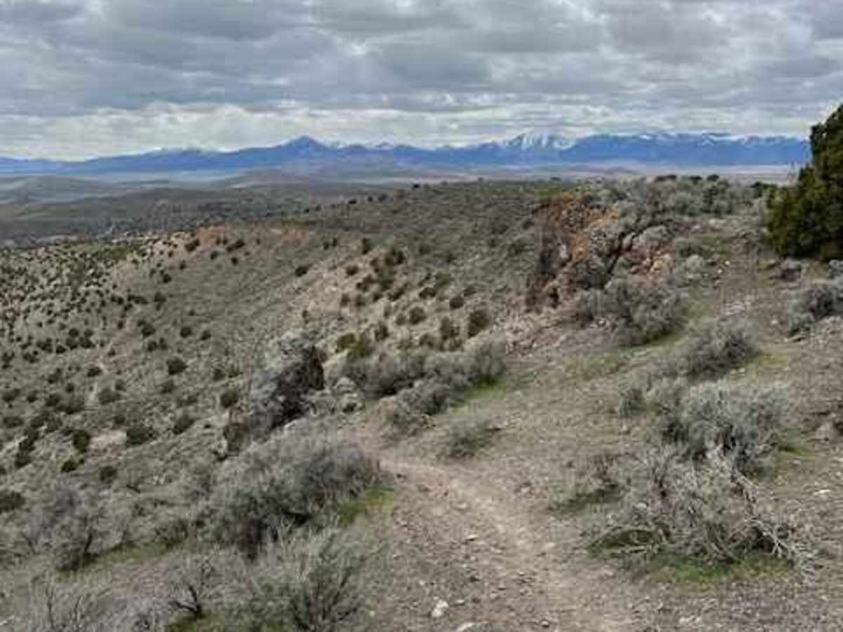 Hills Have Eyes photo 3