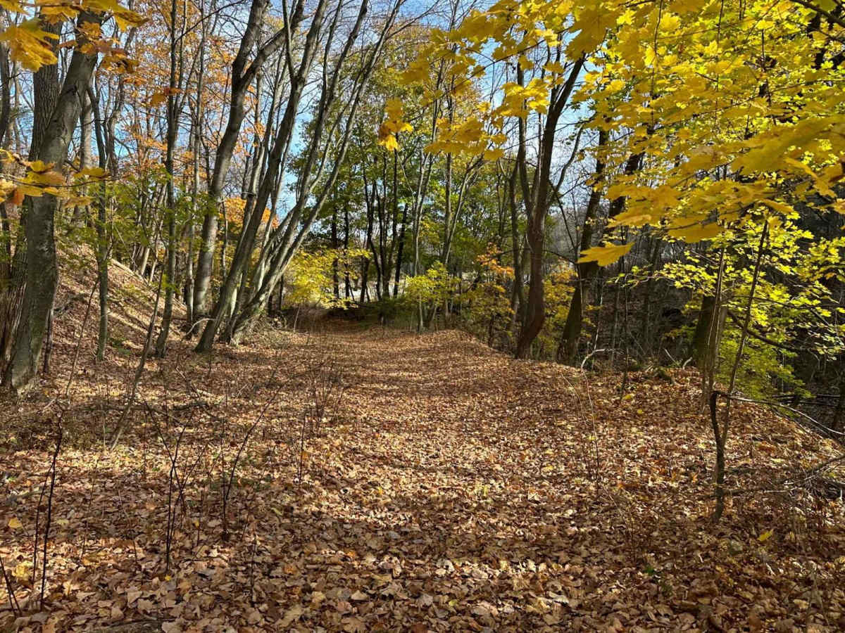 Ashland 161 trail photo