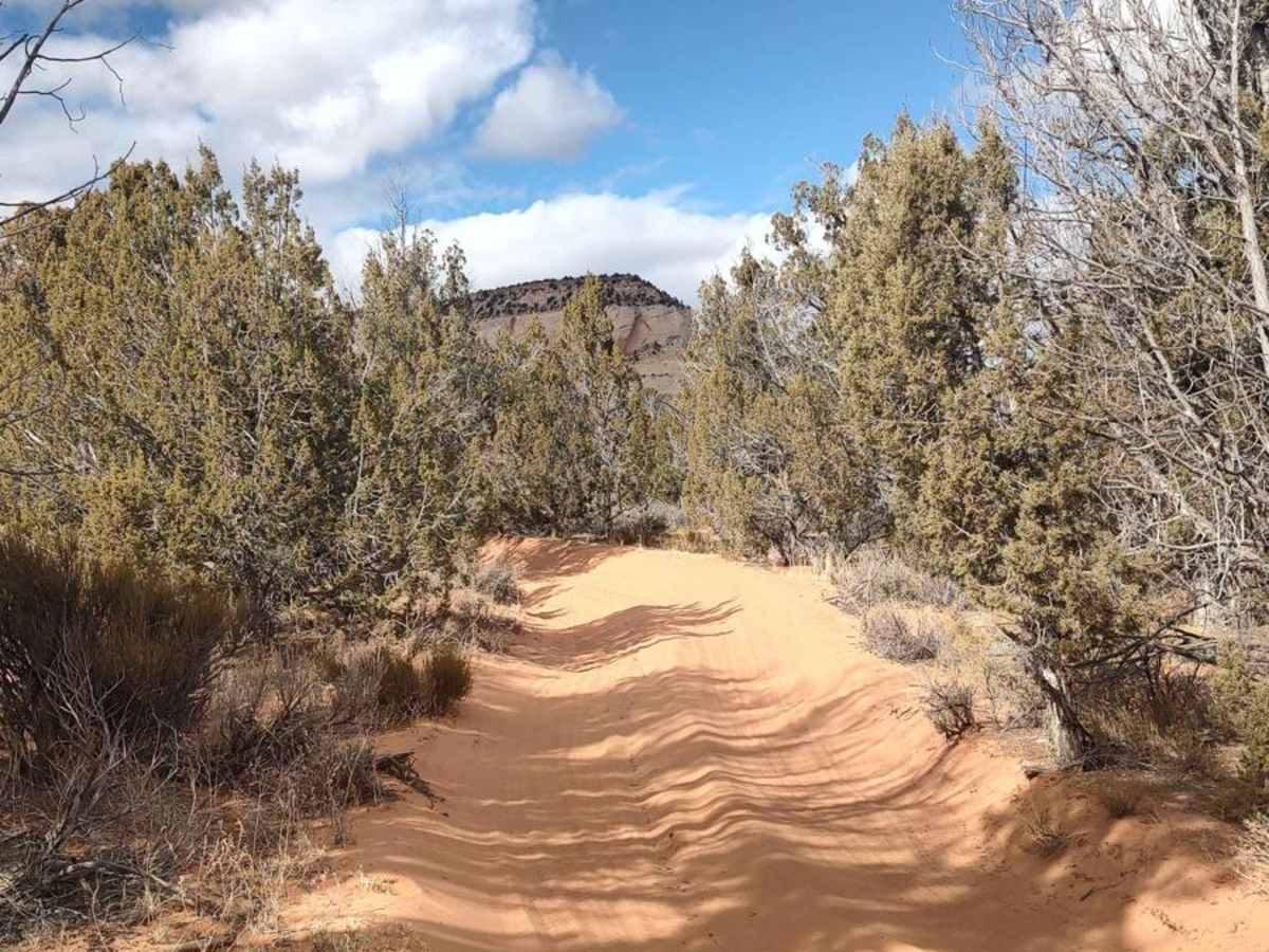 BLM 102H (Offshoot of White Tower Trail) photo 3