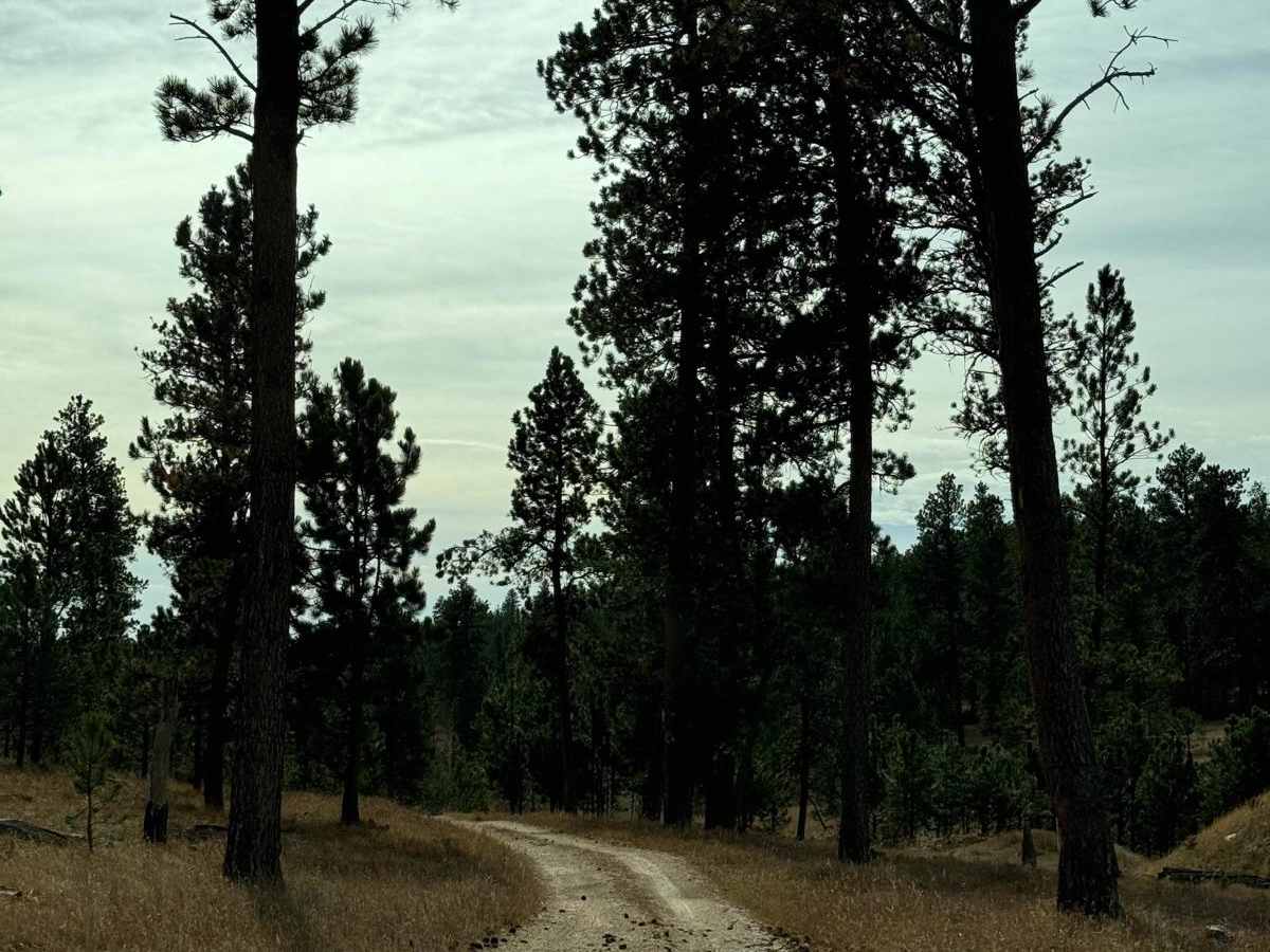 Hughes Draw & Horsethief Road trail photo