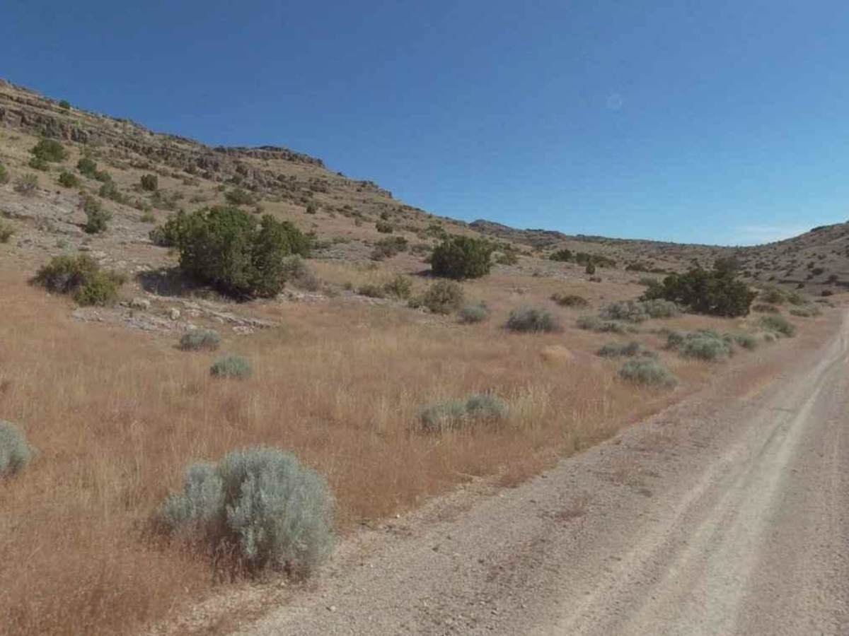 Conger Mountain OHV Route 3 trail photo
