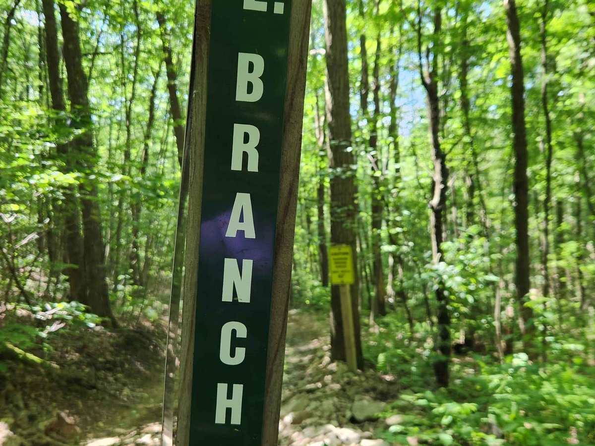 Lower Branch - Rock Run Recreation Area trail photo