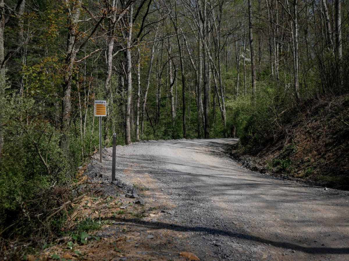 P15 trail photo
