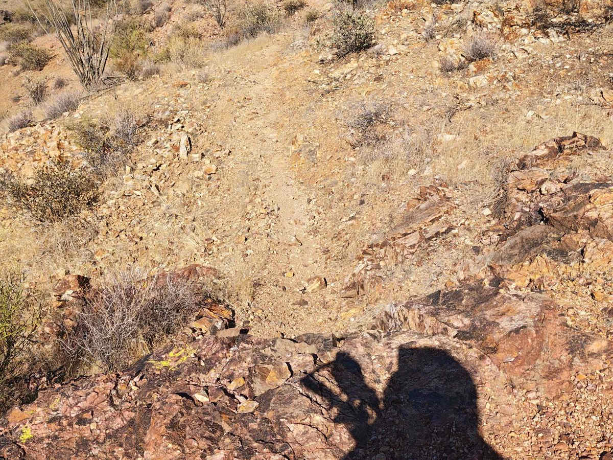 Sim's Warm Up - Single Track photo 4