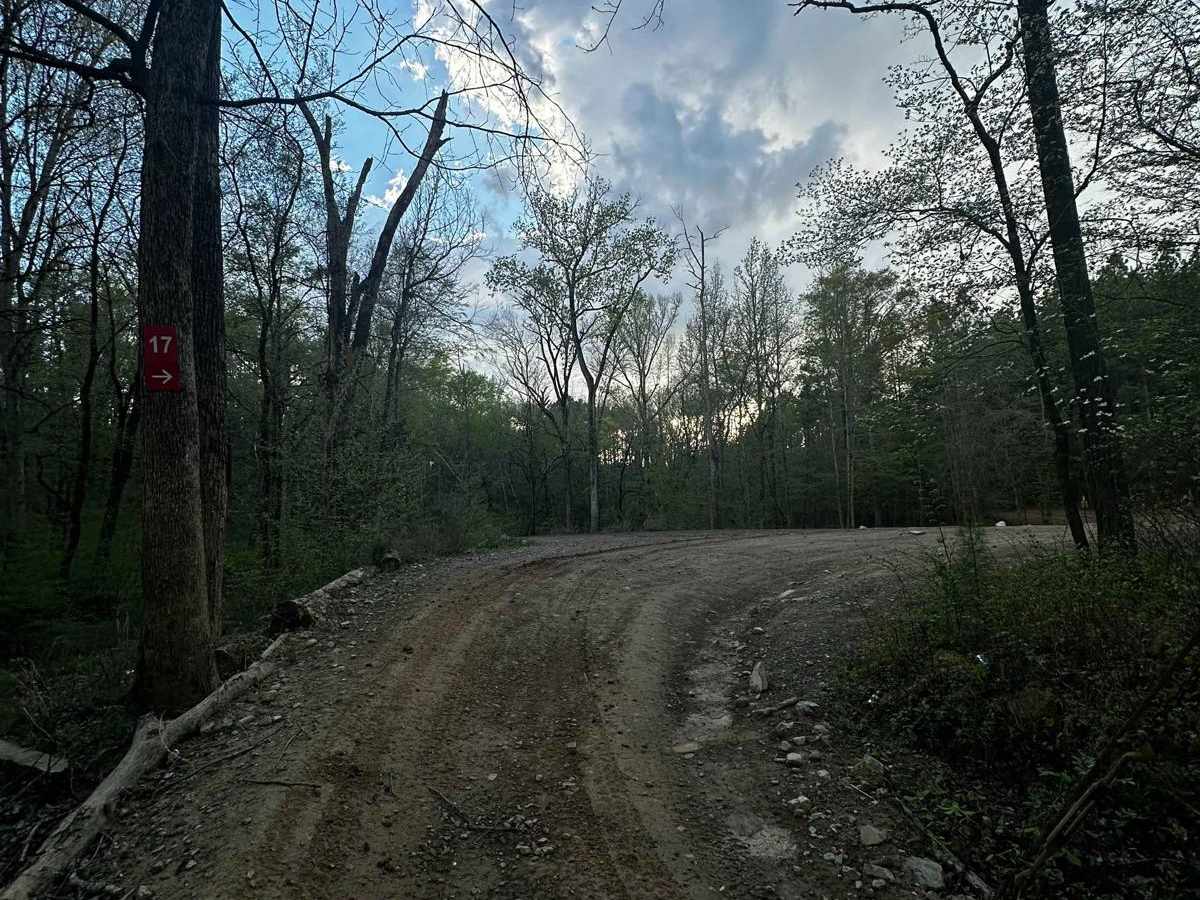 Service Road 17 (SR 17) trail photo