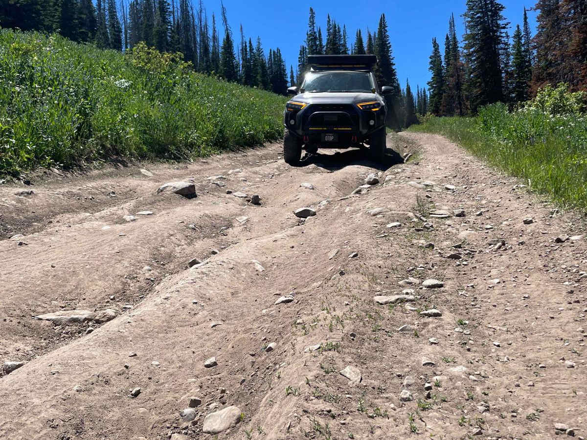Currant Ridge (FR 70080) photo 4