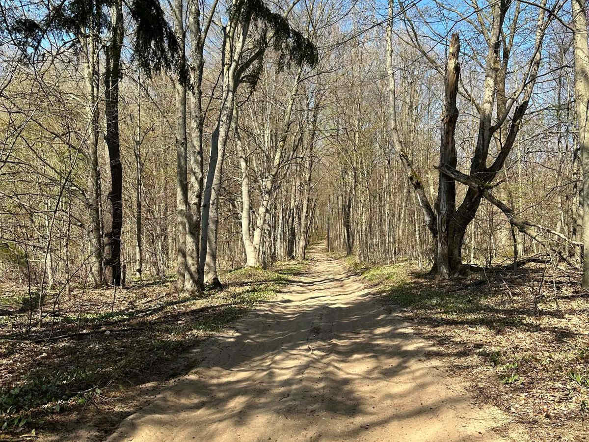 Cadillac Area ORV/OHV Scenic Ride - Part 12 photo 4